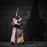 In-stock 1/6 COOMODEL Teutonic Knights SE135 SE136 (WHITE BRONZE VER)