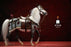 In-stock 1/6 MR.Z DT001 Qilin Horse & Harness