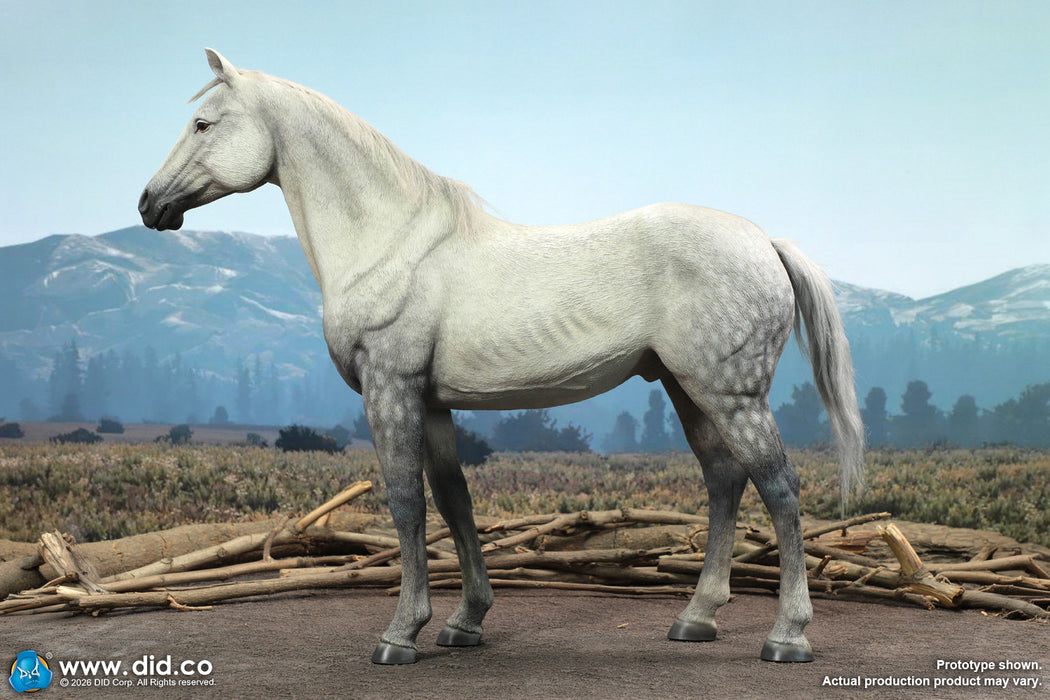 Pre-order 1/6 DID E60086 White War Horse (Standing) Scene & Diorama