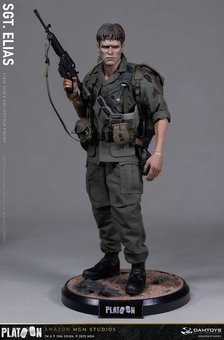 Pre-order 1/6 DAMTOYS DMS047 Sergeant Elias Action Figure