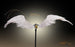 Pre-order 1/12 LUCIFER LXF2311 Dawn Wings Action Figure