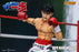 Pre-order 1/12 Storm Collectibles HAIP01 Hajime no Ippo: The Fighting