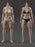 Pre-order 1/6 True1Toys EC3029 Muscular Thigh Version Female Body (Mid Bust)