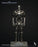 Pre-order 1/6 INART AgA036 The Terminator - T-800 Endoskeleton Action Figure