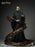 Pre-order 1/6 INART Ag A047 Harry Potter and the Deathly Hallows - Voldemort