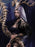 Pre-order 1/6 TBLeague PL2026-237A Serpent Kin - Calamity & PL2026-237B Serpent Kin - Oracle