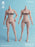 In-stock 1/6 Worldbox AT206 Muscular Female Body