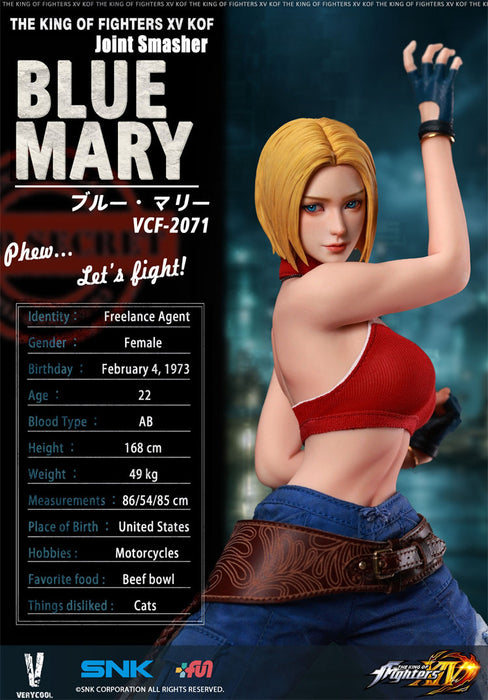 Pre-order 1/6 Verycool VCF-2071 Blue Mary Action Figure