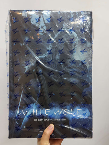 In-stock 1/6 SOOSOOTOYS SST-048 Action Figure