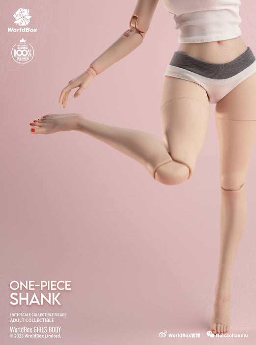 In-stock 1/6 AT204 One-piece Shank Accessories Pack with Thigh
