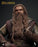 Pre-order 1/6 INART AgA033 The Lord of the Rings - Gimli