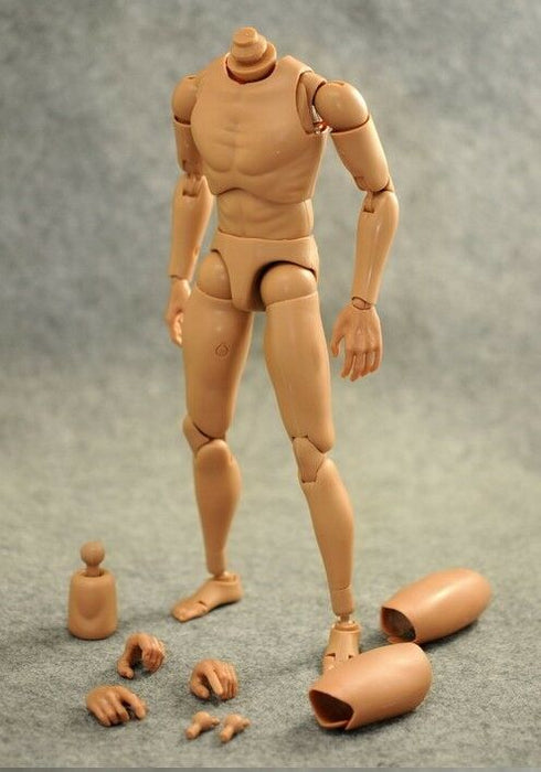 1/6 body Slim Shoulder for long-neck head sculpts BW/Neck