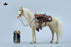 Pre-order 1/6 JXK JXK208 Akhal-teke Horses (4 types)