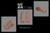 Pre-order 1/6 VS toys 24XG111 24XG112 Female Feet in Gestures Accessories