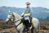 Pre-order 1/6 DID E60086 White War Horse (Standing) Scene & Diorama