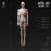 Pre-order 1/6 JPT ATX-01 Male body