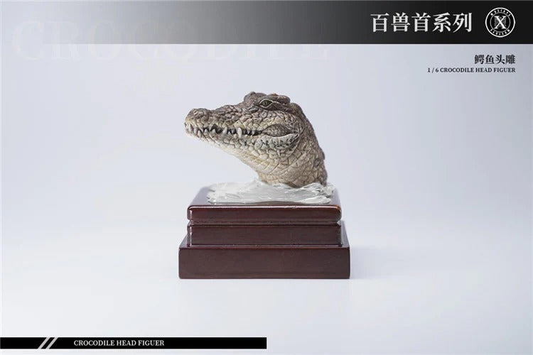 In-stock 1/6 MOSTOYS M2024 Crocodile Head Sculpt HW/Neck
