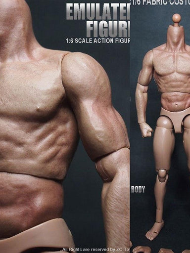 HiPlay TBLeague 1/6 Scale Seamless Male Action Figure Body- 12 Inch Super  Flexible Collectible Figure Dolls (M30)