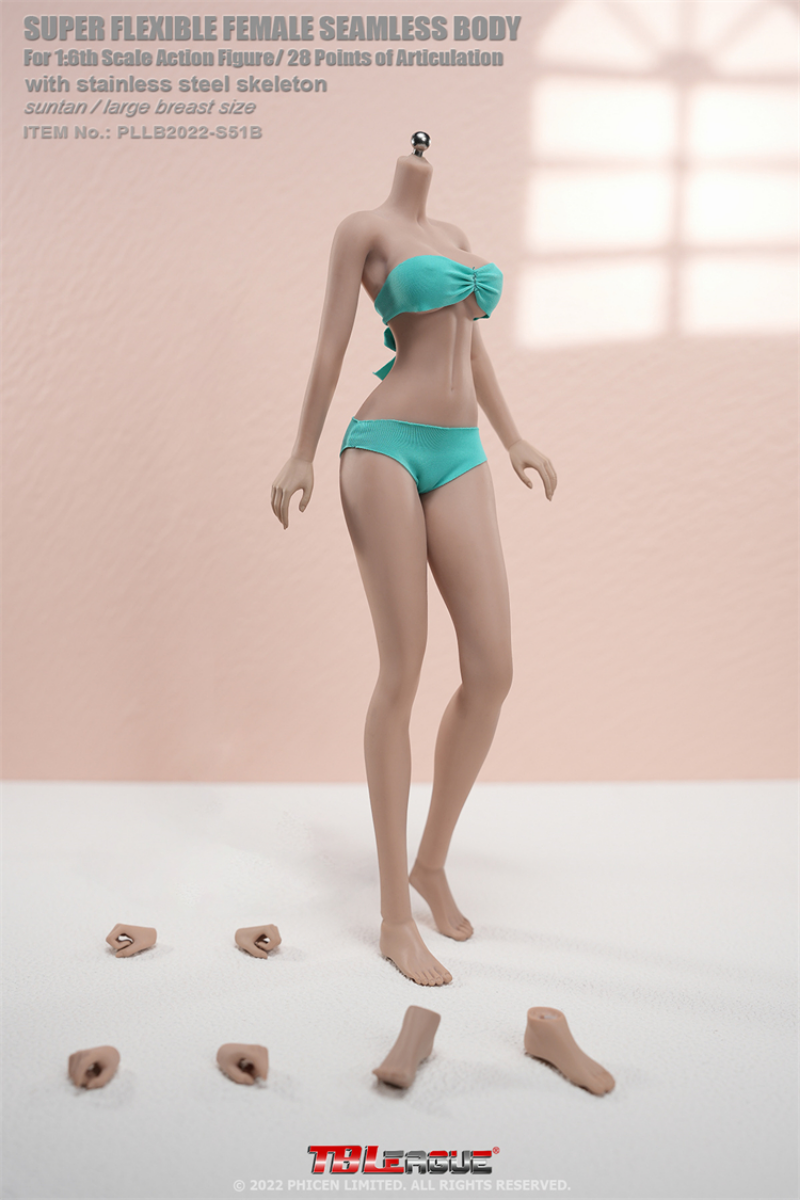 1/6【ATDOLL】28L DAMTOYS クレア ヘッド TBLeague Amazon.com: TBLeague 1/6 Female Seamless Action Figures