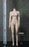 In-stock 1/6 TBLeague Phicen Standard Large Bust S10D S12D Seamless Female Body
