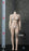 In-Stock 1/6 Scale TBLeague Phicen Buxom Female Seamless Body S28A S29B (No Head)