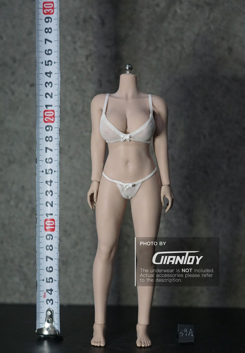 In-stock 1/6 TBLeague PLLB2020-S38A PLLB2020-S39A Plus Size Body