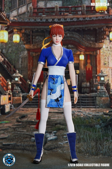 In-stock 1/6 SUPER DUCK SET073 Female Ninja Custom Kit