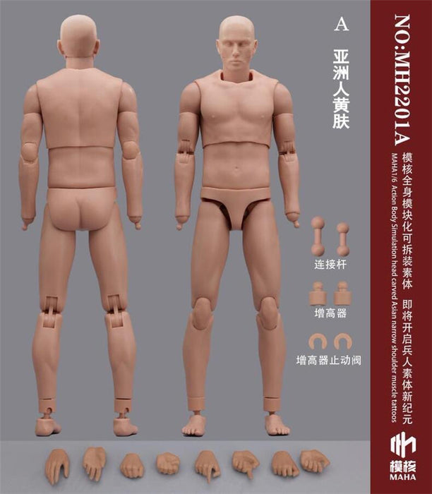 Pre-order 1/6 MAHA Studio MH2201 Modular Male Body Standard Ver.