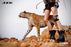 Pre-order 1/6 JXK Studio  Acinonyx Jubatus JXK115 / King Cheetha JXK116
