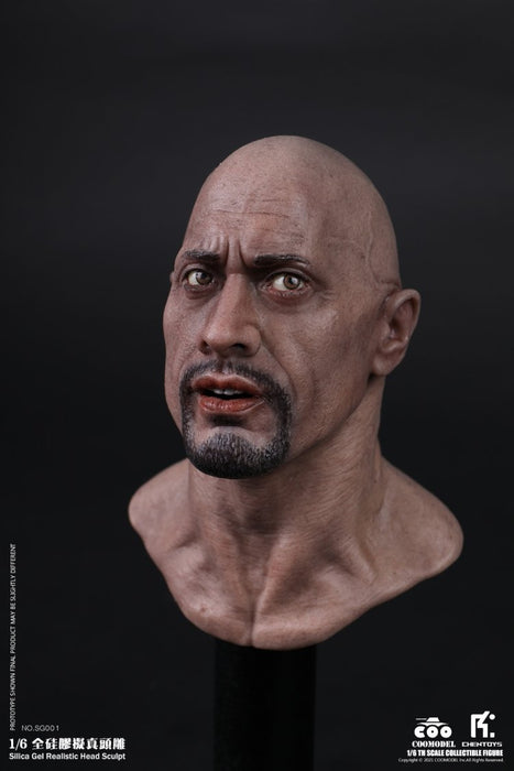 Pre-order 1/6 COOMODEL X CHENTOYS SG001 Silica Gel Realistic Head Sculpt
