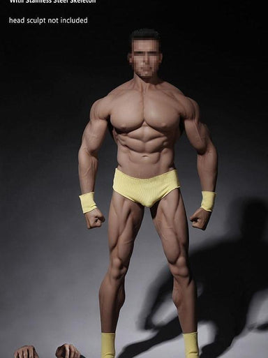 HiPlay TBLeague 1/6 Scale Seamless Male Action Figure Body- 12 Inch Super  Flexible Collectible Figure Dolls (M35) : : Toys & Games